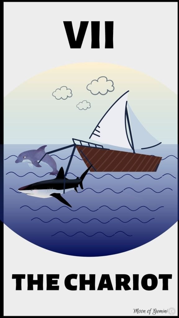 the chariot tarot card (boat in water with a shark and dolphin pulling it)