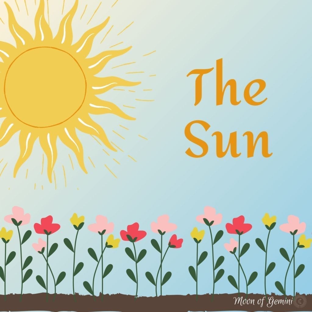 the sun tarot card (flowers under a bright sun)