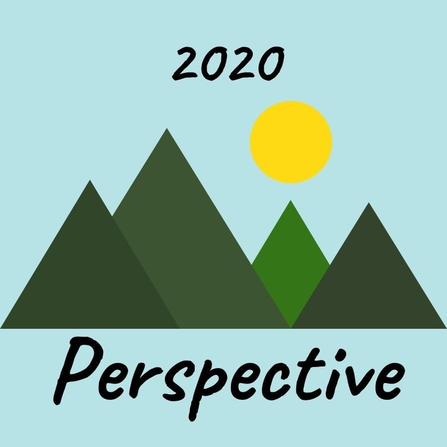 "Perspective 2020"